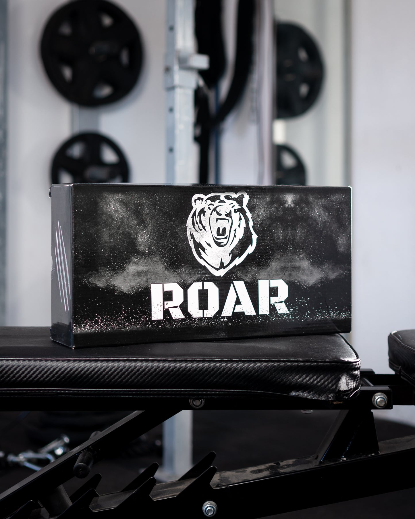 Kit Polea Musculación para Entrenar en Casa ROAR