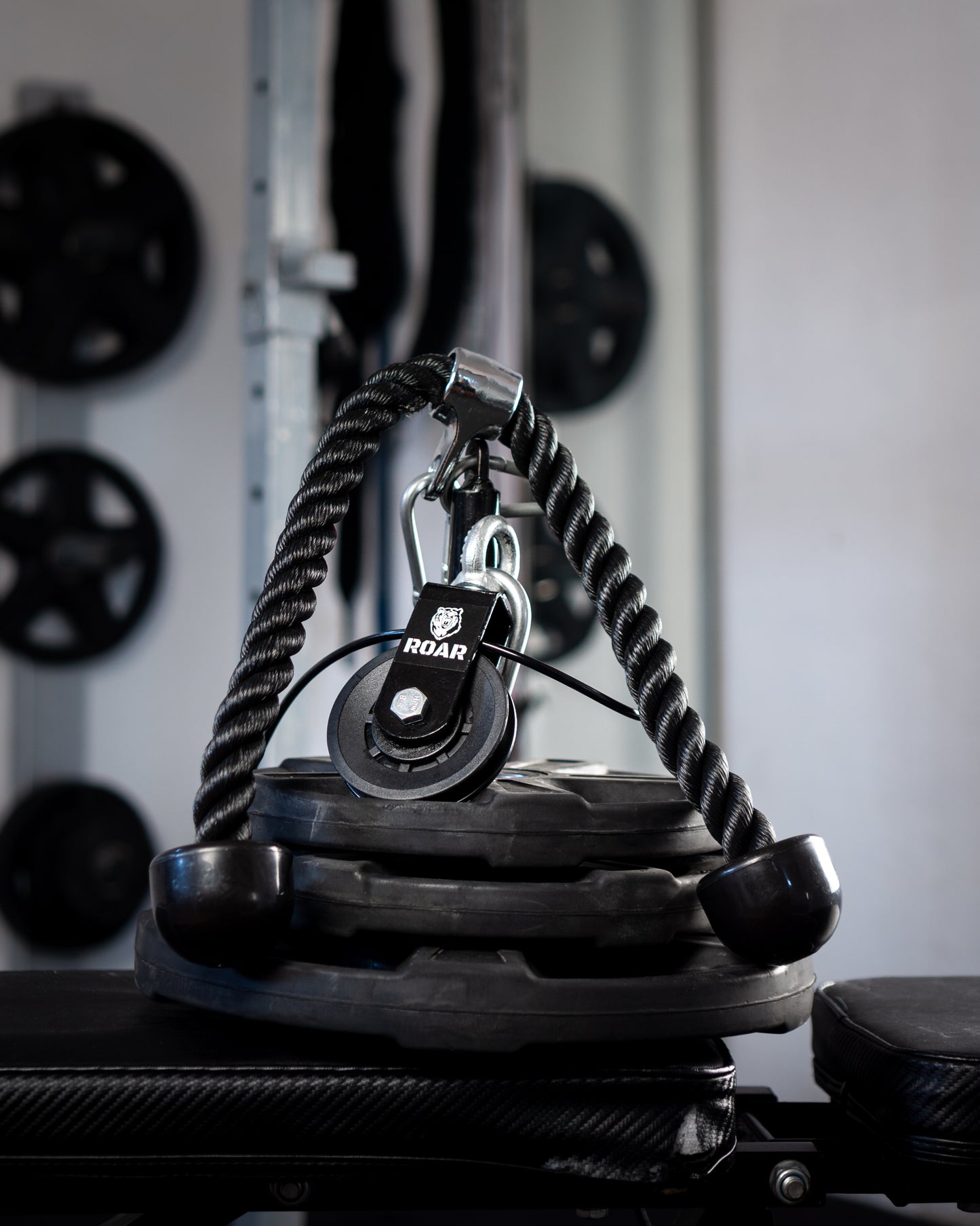 Kit Polea Musculación para Entrenar en Casa ROAR